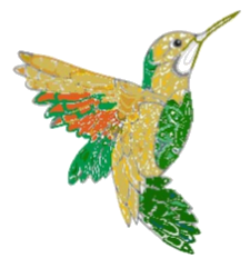 colibri image